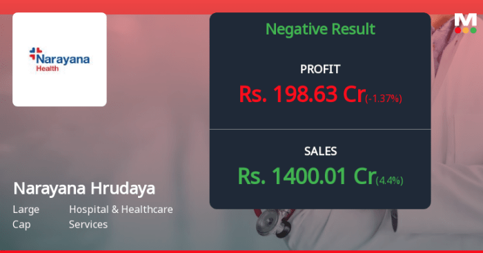 Narayana Hrudaya Reports Negative Financial Performance in Q3 2024